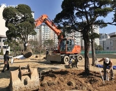 관공서 정원조성공사 조경식재작업 현장