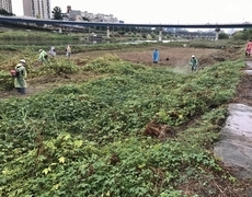 공원 하천 예초작업 현장