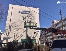 아파트 수목전지 작업 수목관리 현장
