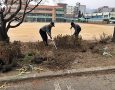 학교 화단 관목식재공사 
