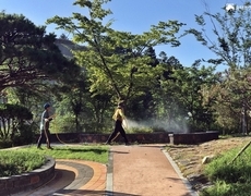 학교 수목방제 나무소독 조경관리현장