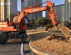 관공서 조경식재공사 정원조성작업 현장