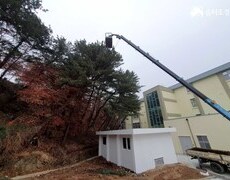 관공서 위험목제거 나무벌목 현장
