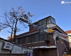 주택 위험목제거 작업 현장