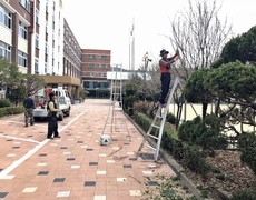 학교 화단 수목전정 나무정리 작업