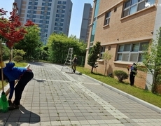 학교 조경관리 수목전정 작업 현장