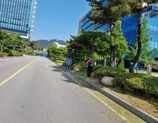 관공서 조경관리 에초작업 현장