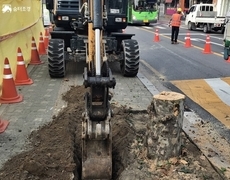 진입로 공사 가로수벌목공사