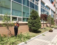학교 반송전지 수목전정 나무정리작업