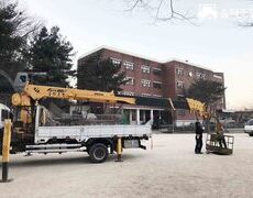 벌목공사 학교 운동장 위험수목제거 작업