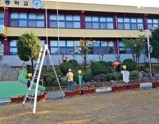 학교 화단 수목관리 조경정리 작업