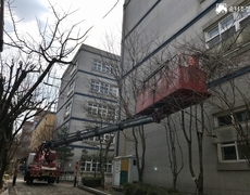 학교  동계 나무가지치기 수목전지 작업