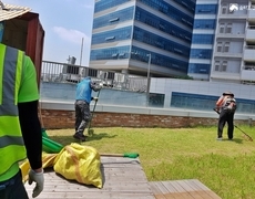 회사옥상조경관리 예초작업
