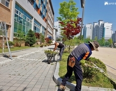관공서 학교 교정 수목전정 작업