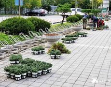 학교 교정 초화류식재 작업