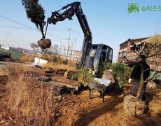주택조경공사 정원꾸미기, 조경식재공사