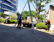 아파트 수목전지작업 나무가지치기
