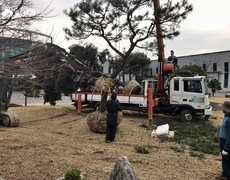 회사공장 소나무조경 조경식재공사