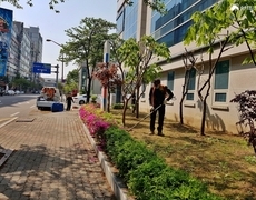 관공서 화단 조경관리 예초작업