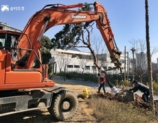 관공서 소나무식재 정원조성 작업현장