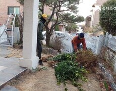 일산 김포 파주 주택 조경관리