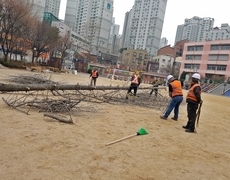 관공서 나무제거 벌목공사