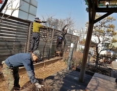 회사 옥상조경관리 작업