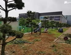 조경관리 제초작업