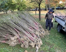 공원  조경식재공사 