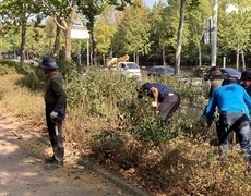조경식재공사 