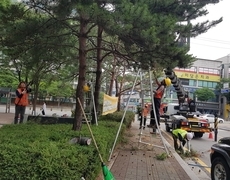수목전지