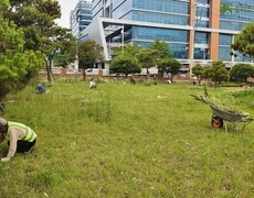 관공서 공원 회사 제초작업 현장