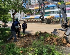 관공서 학교 정원 소나무 조경식재공사 