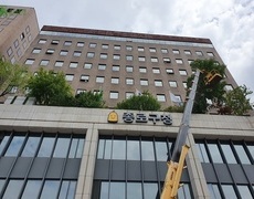 종로구청 위험수제거 및 수목전정 작업