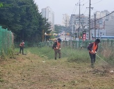 도로 공원 녹지 예초작업 조경유지관리 현장