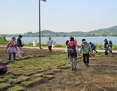 잔디식재 관공서 천연잔디 식재
