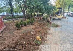 녹지대 회양목 보식 및 관목식재 공사