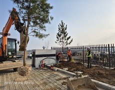 관공서 신축조경공사 교목 조경식재공사 현장