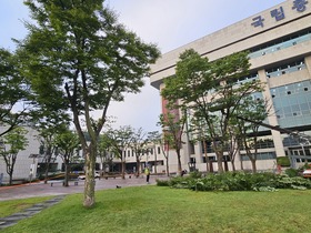 관공서 느티나무 교목  수목전정 낙엽수 전지작업 현장